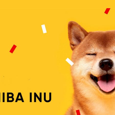 Shiba Inu Worth Kinds Cup And Deal with Sample, What Does This Imply?