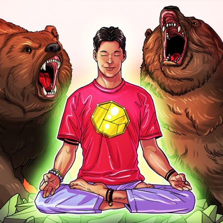 Bitcoin’s in a bear market, however there are many good causes to maintain investing