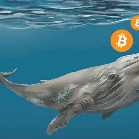 Bitcoin Whales Value $3.8 Billion Emerge As Value Goals for $21k