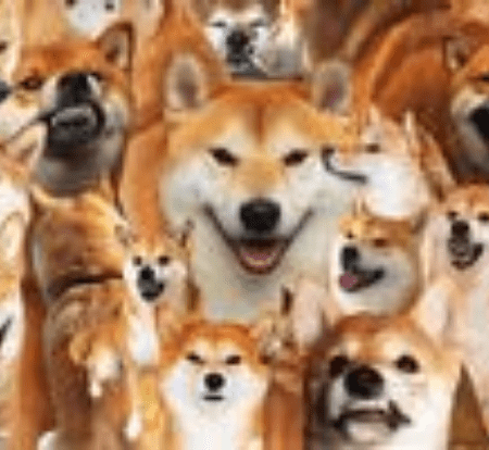 Shiba Inu Spurts Over 12% In 24 Hours – Simply For The Day Or Will SHIB Soar This Week?