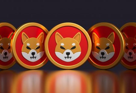 Shiba Inu Wrestle Continues As Altcoins Rally With Over 70% Achieve; Right here Is Why