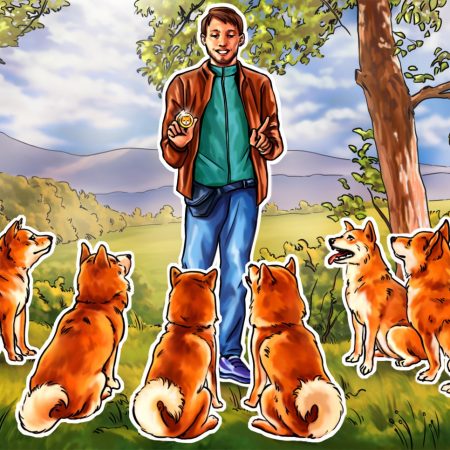 Shiba Inu value drops to document low vs Dogecoin — Will historical past repeat with a 150% rally?