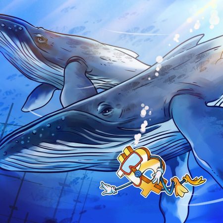Bitcoin worth backside not in, information says as whale orders hit 2-year low