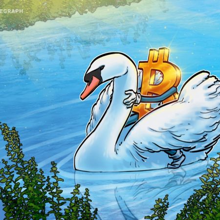 What’s Swan Bitcoin and the way does it work?