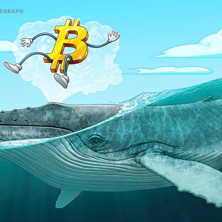 BTC value varieties new assist at $16.8K as Bitcoin lures 'mega whales'