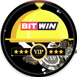 BitWin Casino A Fantastic VIP Program