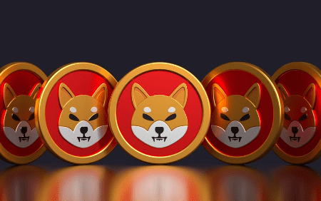 New SHIB-Based mostly Token On The Means? Shiba Inu Crew Member Shares Essential Replace