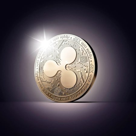 Ripple Supplied Main XRP Value Reductions To Choose Buyers, SEC Claims
