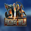 Vikings Go Wild Slot